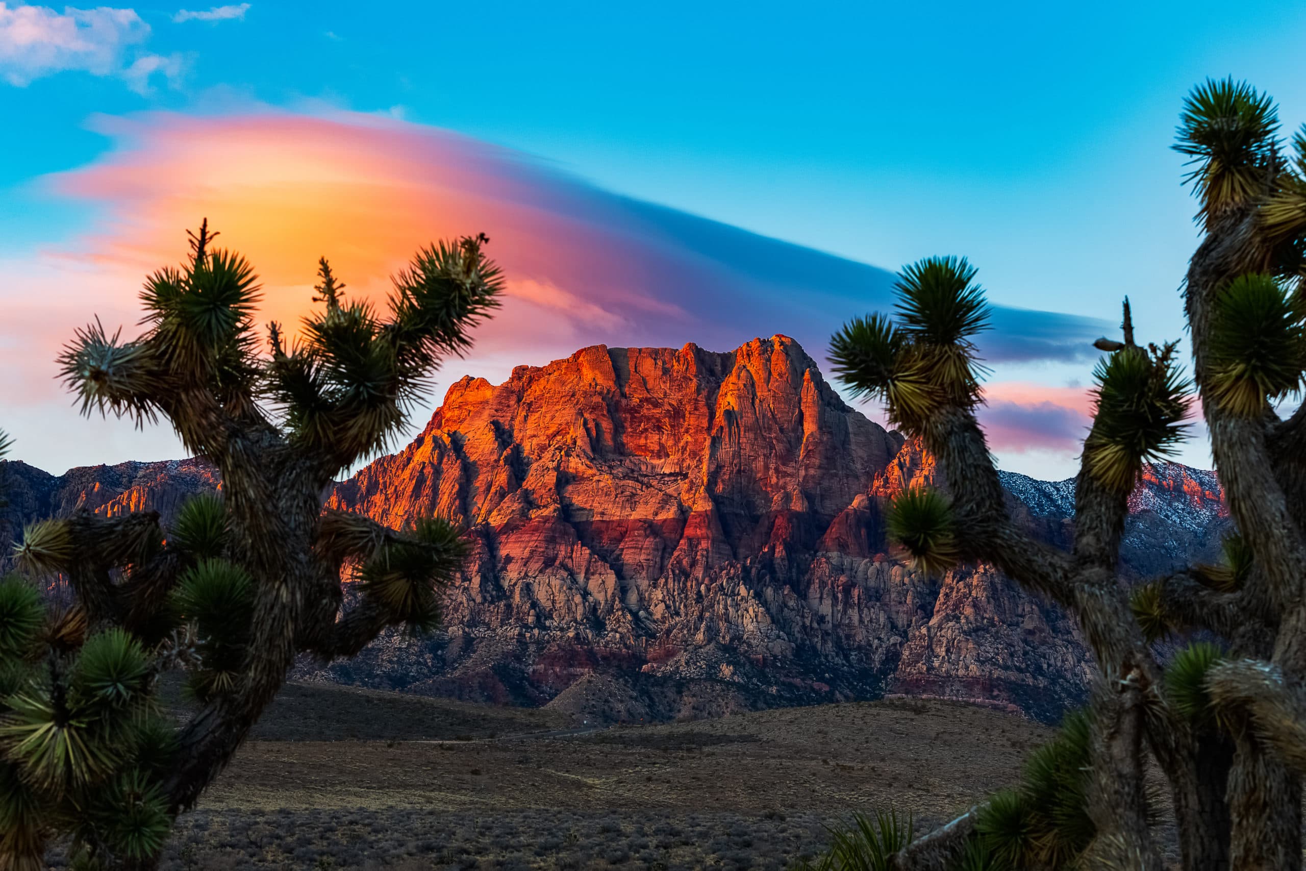 Cost To Build A House In New Mexico (2026)