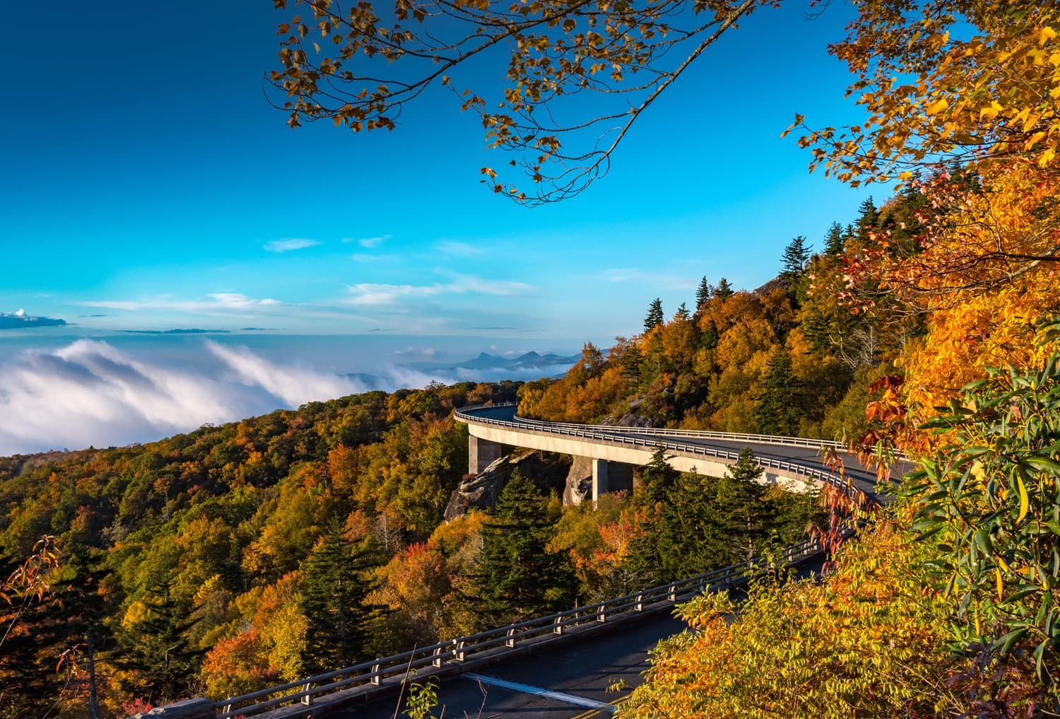Cost To Build A House In North Carolina (2026)